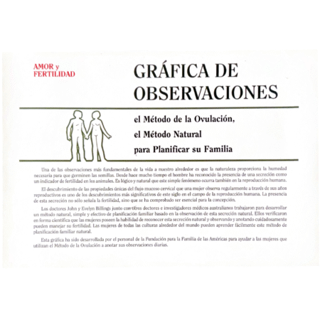 Gráfica de Observaciones de 6 meses
